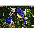 Tabriz handmade wall rug featuring intricate design of four colorful canaries on a vibrant floral background