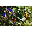 Tabriz handmade wall rug featuring intricate design of four colorful canaries on a vibrant floral background
